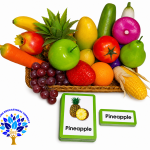 Model Fruit & Flash Cards Set
