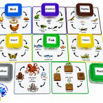 Plant and Animal Life cycle